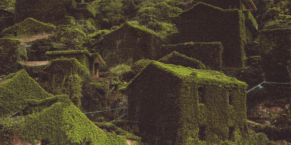 Unveiling Iowa's Abandoned Treasures 7 Places Nature Has Reclaimed